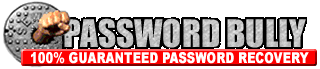 PasswordBully Logo